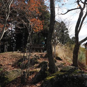 山頂に着きました（息子は早々に撮影中）
