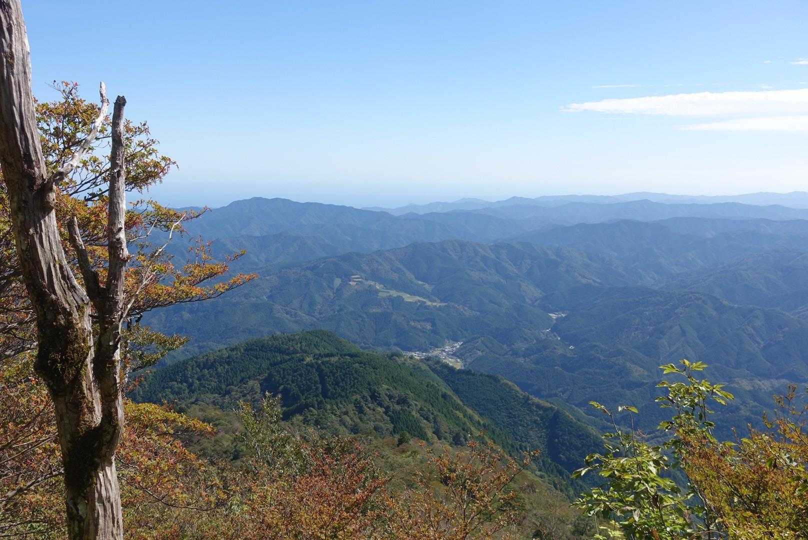 ここが1番見えるポイントかもしれません❣️