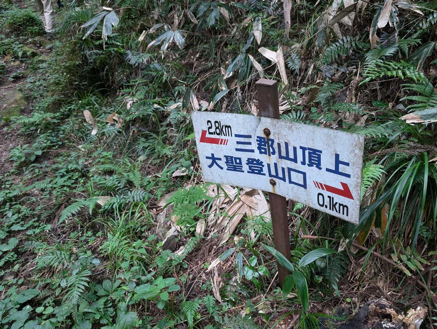 片道約2.9kmです。