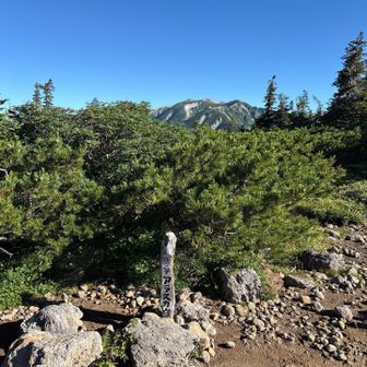 アラスカ庭園