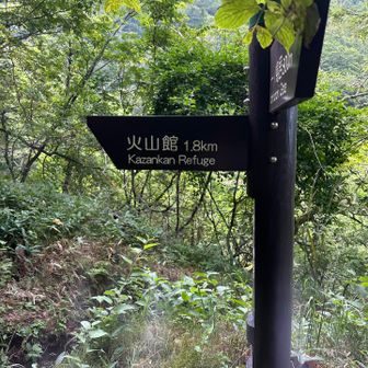 次は、火山館を目指しましょう🤗