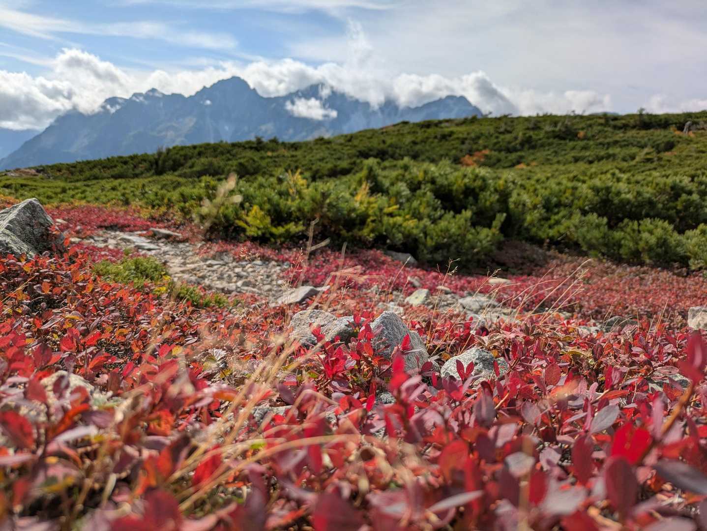 三股登山口-蝶ヶ岳-蝶槍 往復コースの写真