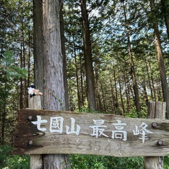『七國山最高峰』倒れていたので立ててから記念撮影🐾
木がもろくなっていてお疲れの様子でした。