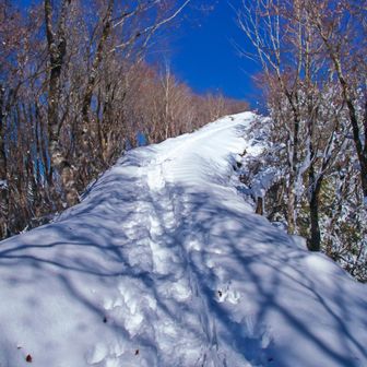 階段が少し覗いてます