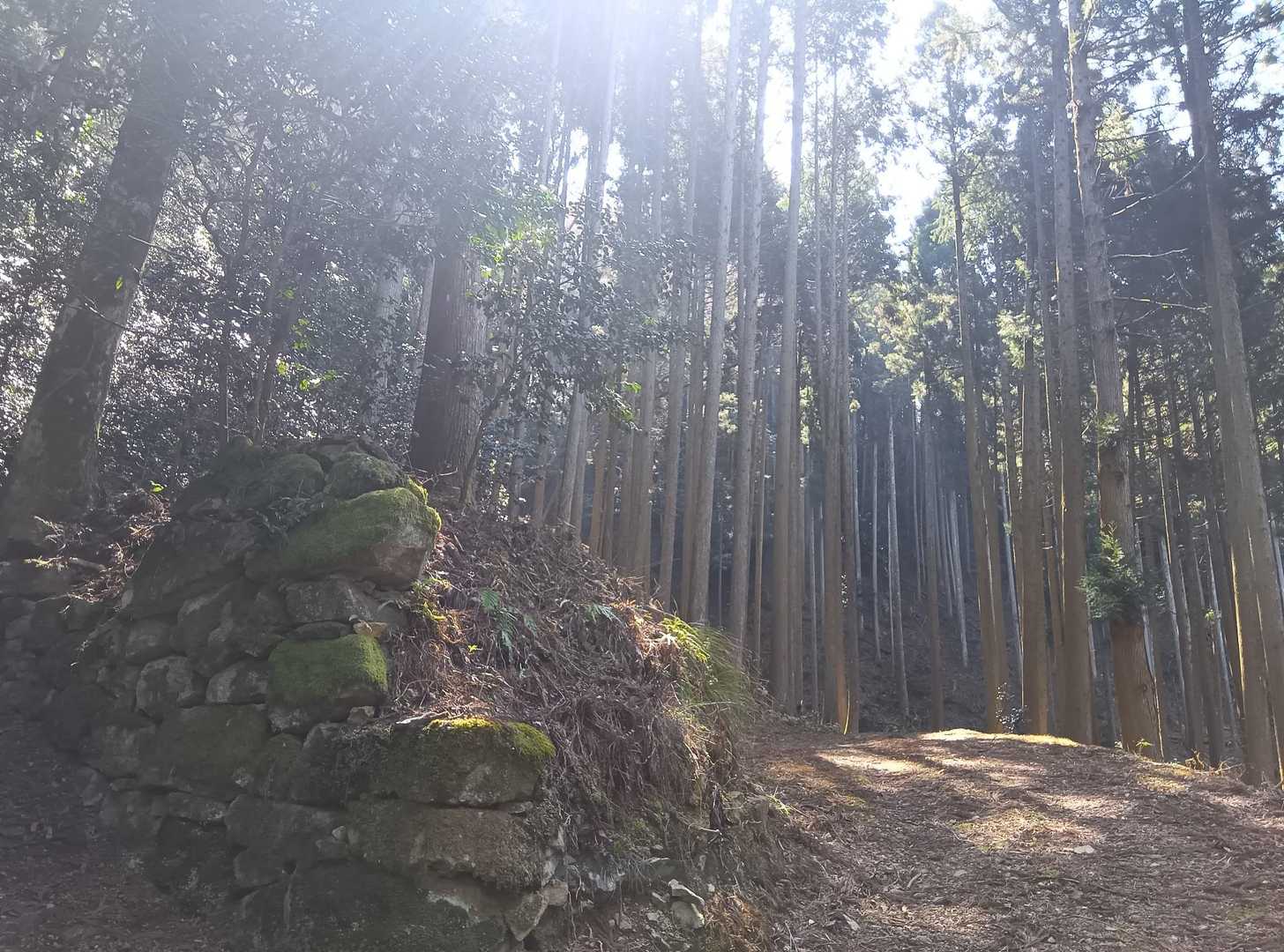 愛宕山 周回コースの写真