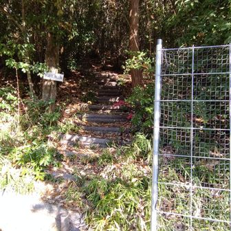 スタートしました。丸山の登山口です。
上道丸山公園と書かれた案内板が有ります。
頂上に公園が有るのかな〜？