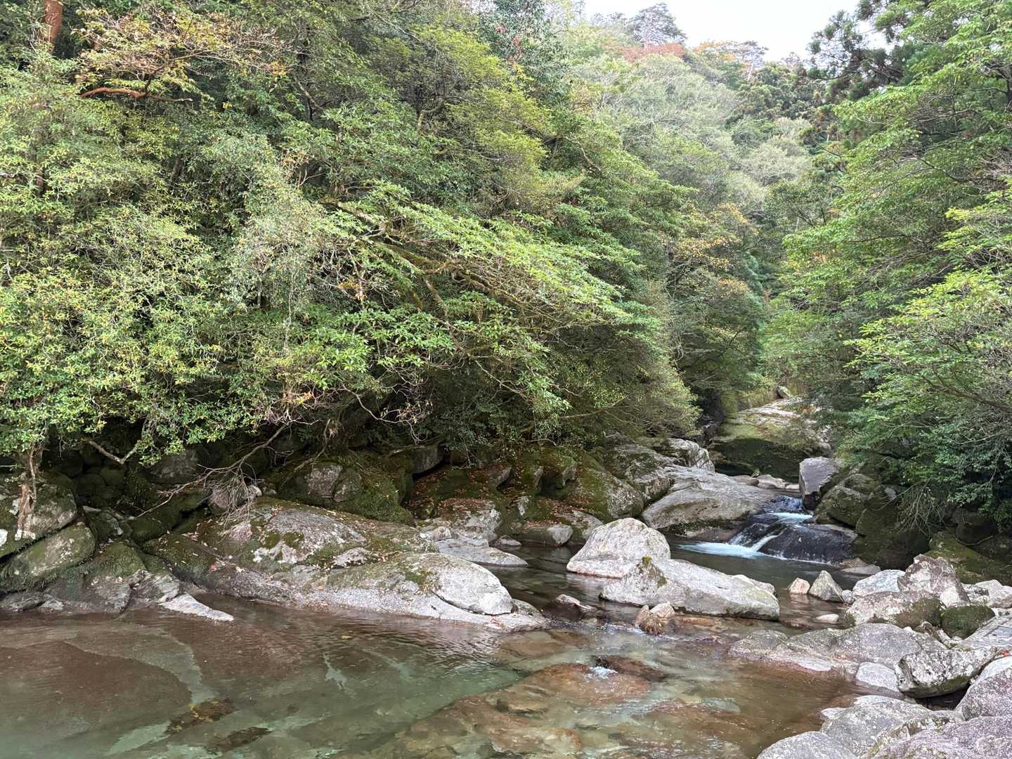 水が綺麗
マイナスイオン