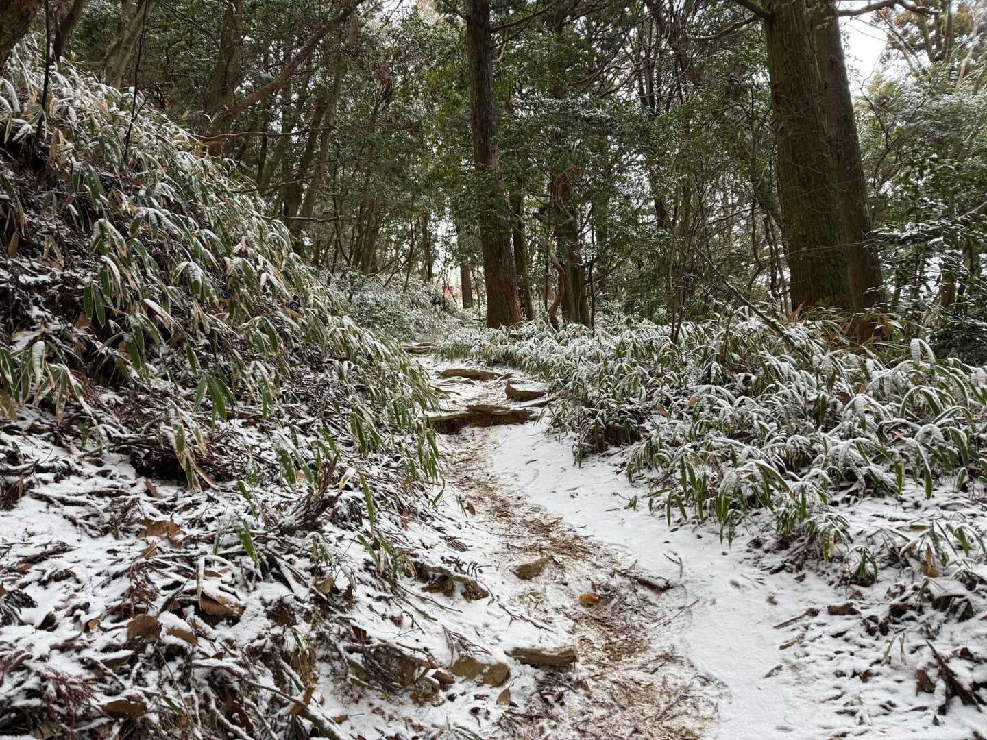 摩耶山頂あたりは
日が当たらないので
トレイル上も雪ですね