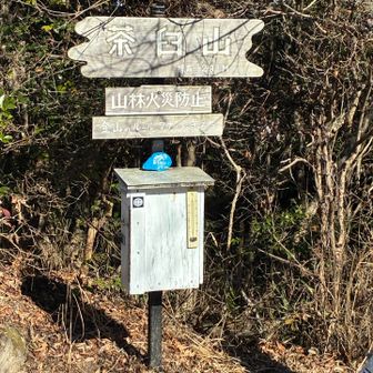 本日のメイン😀