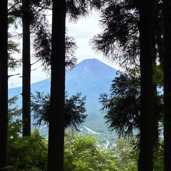 天上山頂からの富士山
