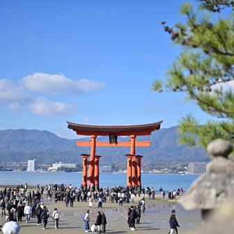 引きましたね😁