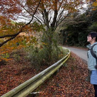 枯葉吹雪を🍂と思って投げてみたけど🙌
量が少な過ぎて写真じゃ分かりづらかった😅