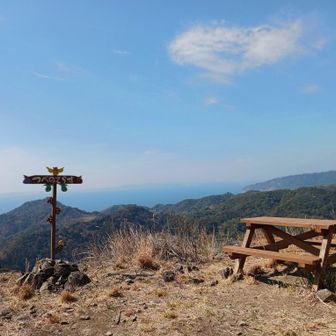 皆さま、あちらに見えますのは三浦半島でございます💁‍♀️