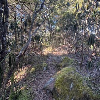ついでに乾徳山北峰に行ってみたけど、何もなかったw