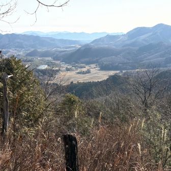 筑波山がうっすら見えるような…