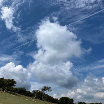 お、ヒコーキ雲！セントレア発のヒコーキがこのへんを飛ぶみたい。
