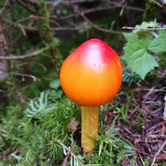 校長（天野 和明）