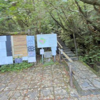 白谷雲水峡登山口