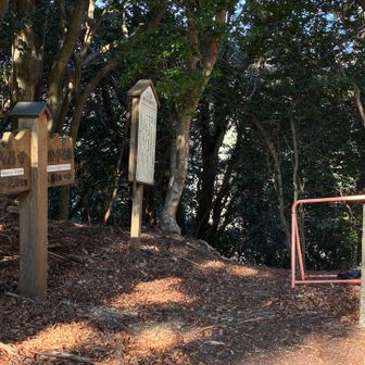 竜ヶ峠
従是神宮宮域の石柱。この後、何箇所かで見かけます。
街道はこの先が崩落しているのかな？
左側に進むと鷲嶺。
今回は右側に進みます。