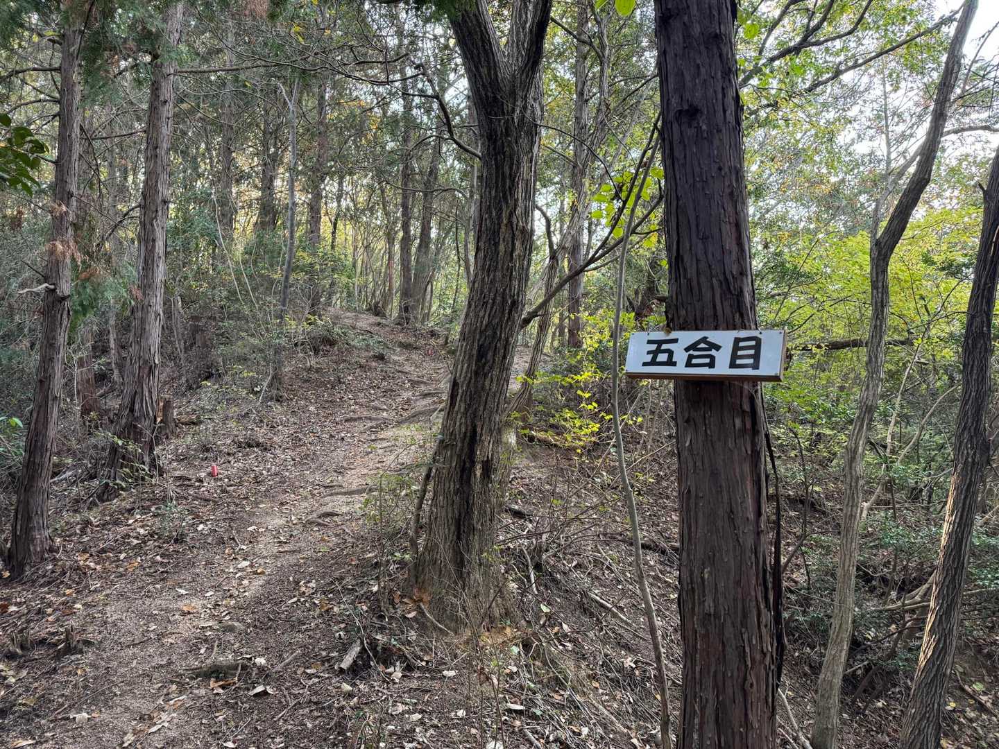 五合目到着