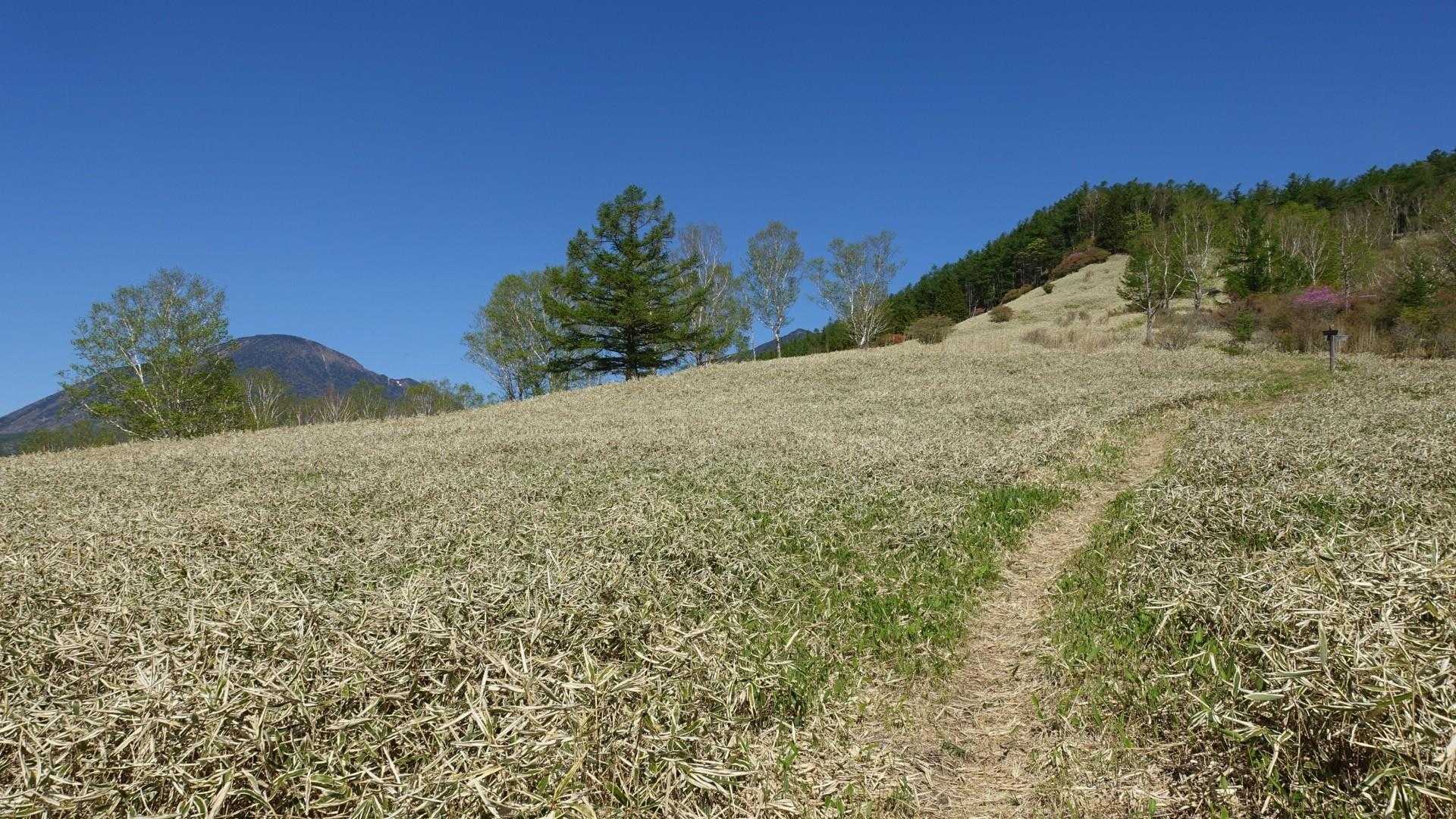 今度は、左前方に男体山（左）と大真名子山（中央奥）が現れました。