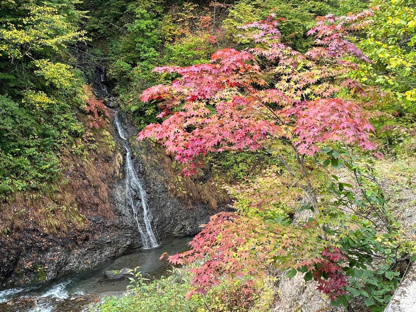 シャトルバス停留所-北海道電力取水施設-幌尻岳 縦走コースの写真