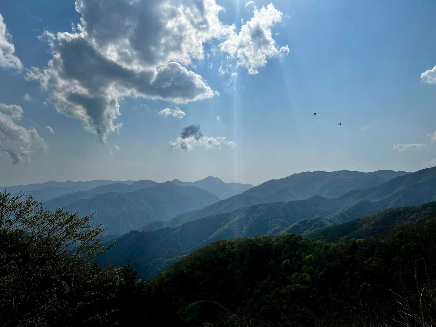 到着〜お疲れ山🙌