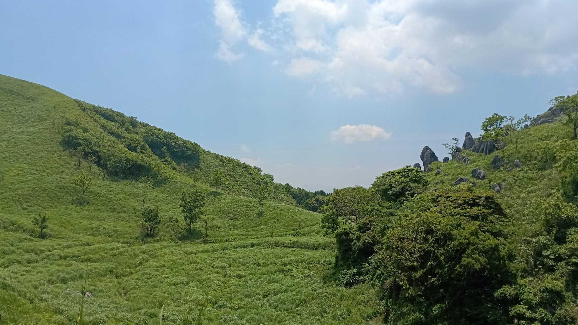緑眩しい草原🌿
