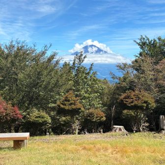 思親山山頂から富士山を望む