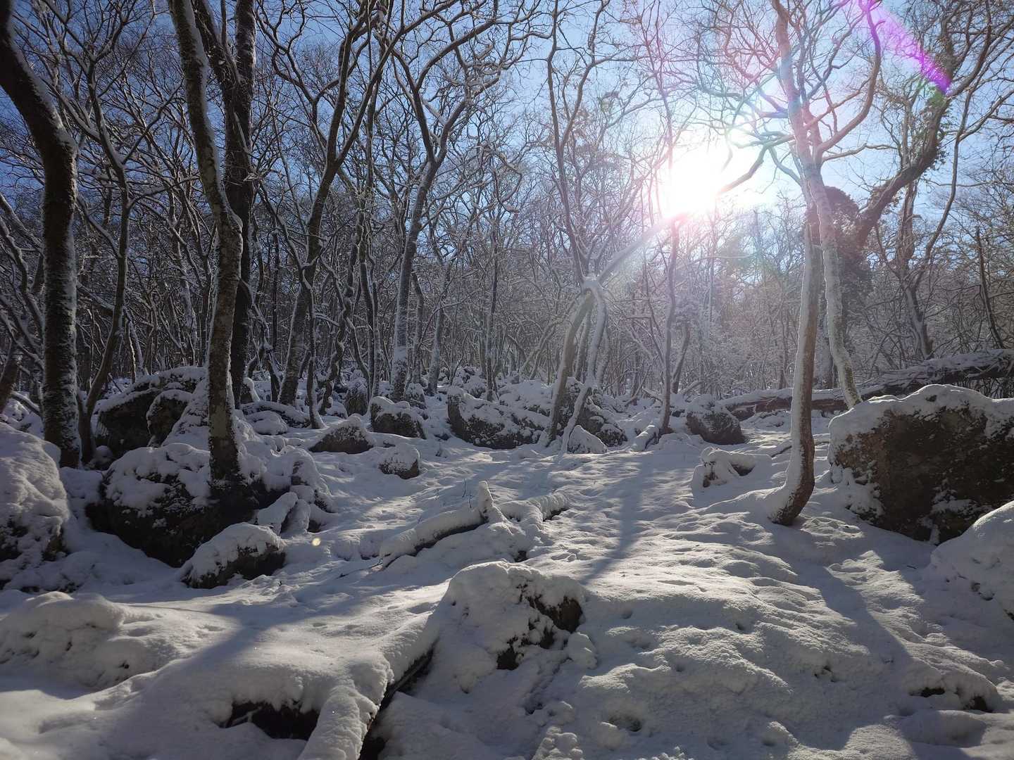 結構、雪あり