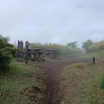丸岳山頂は晴れてたら気持ちよさそうだ