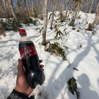 ちょっと喉渇いたので早いけどコーラで潤す✨