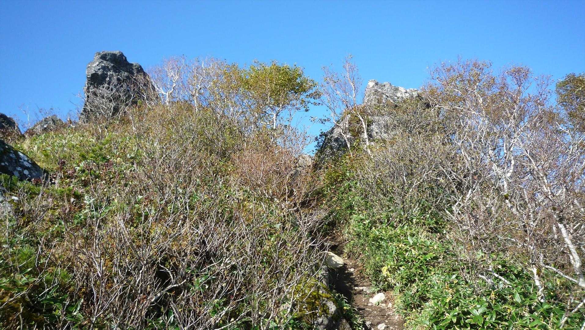 藻琴山登山口-藻琴山 往復コースの写真