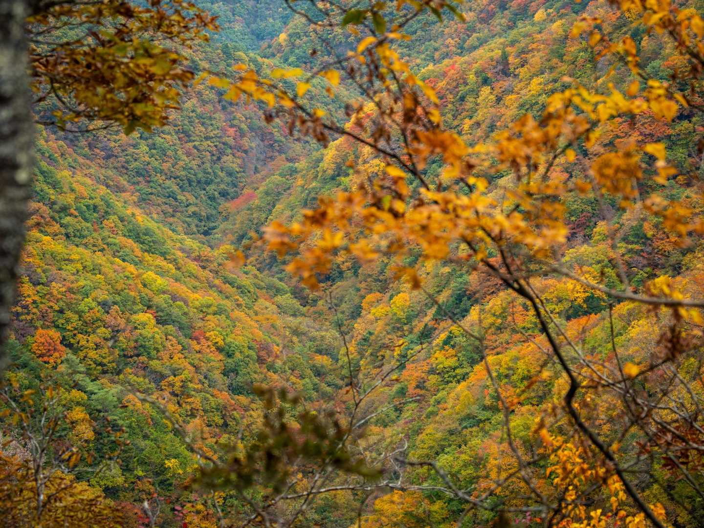 蛾ヶ岳縦走 | 龍神伝説の静かな湖から、御坂山塊の稜線越しにそびえる富士の絶景への写真