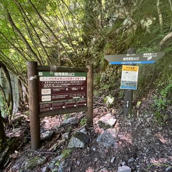長かった下山道がようやく終わった
下にロードが見える