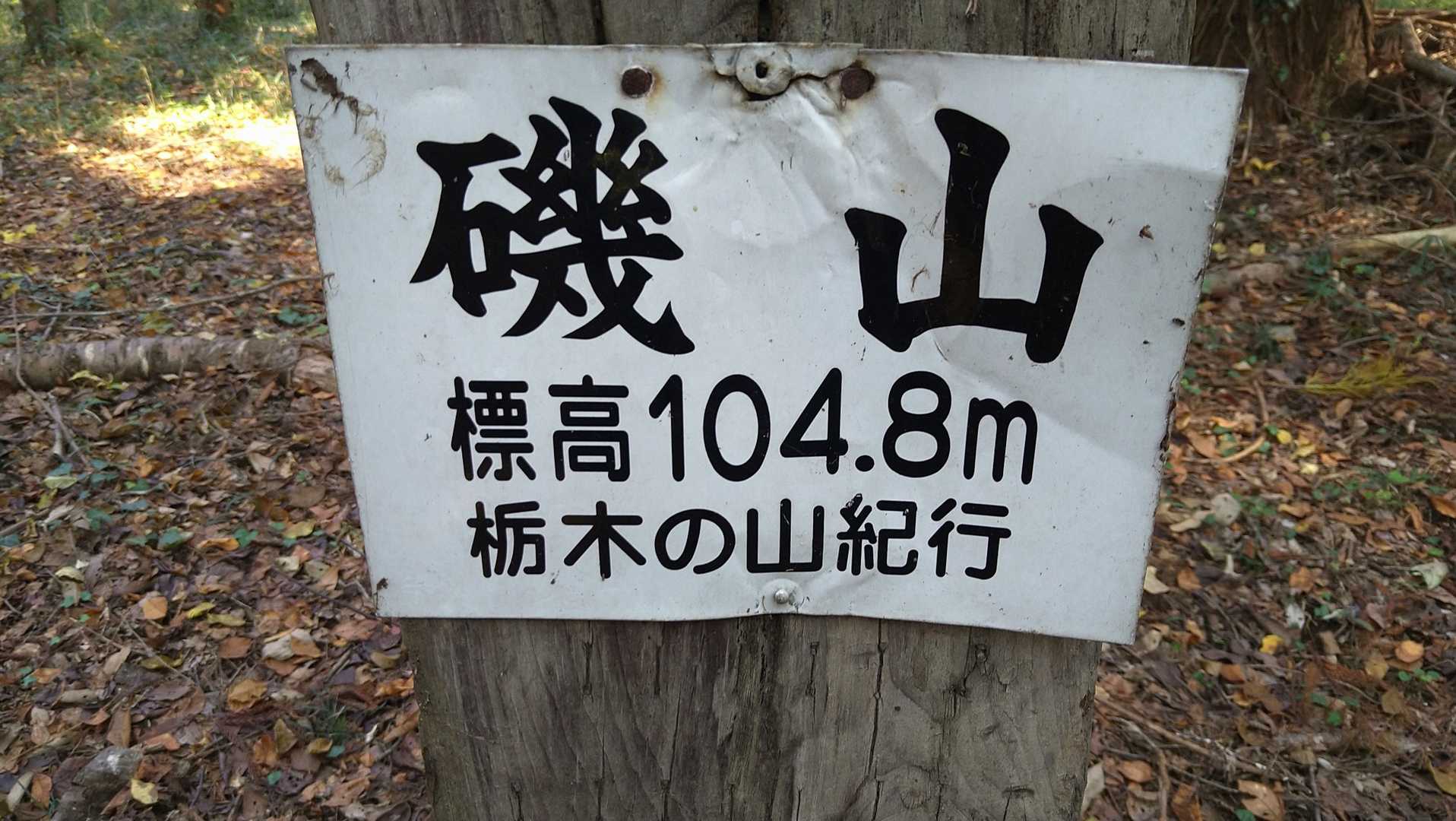 「磯山さやか」さん、が心配で栃木県迄来ましたが違ってました🤣🤣🤣
