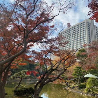 つつじ山横の橋から撮影📷