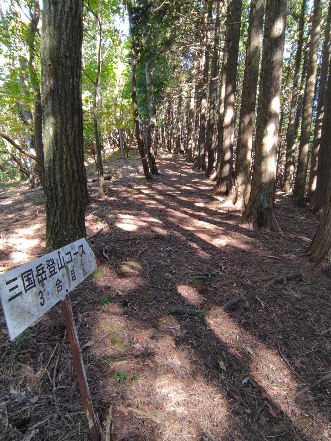 ３合目標識🪧
この辺りは歩き易いとてもいい道です😆