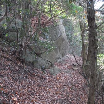 不思議な岩。