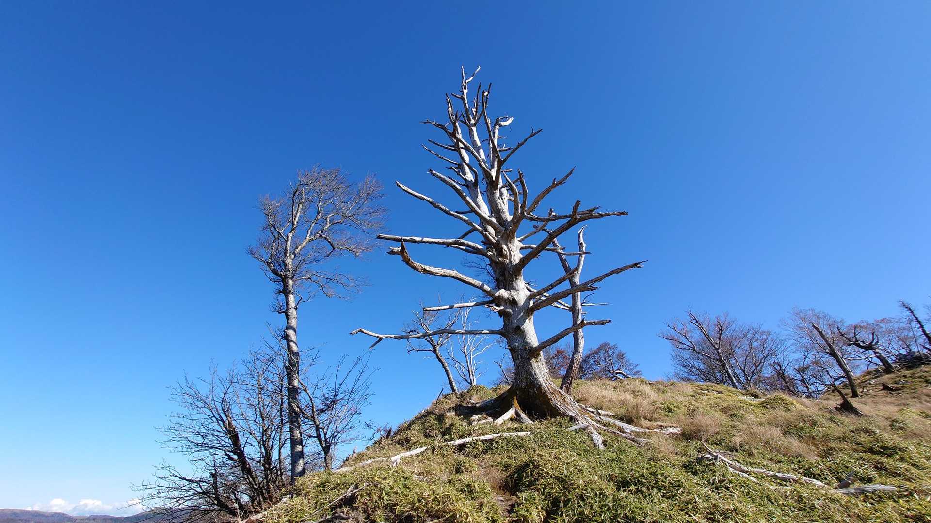 石立山登り口-別府峡登山口-石立山 周回コースの写真