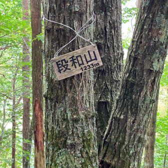 段和山　見晴らし無し