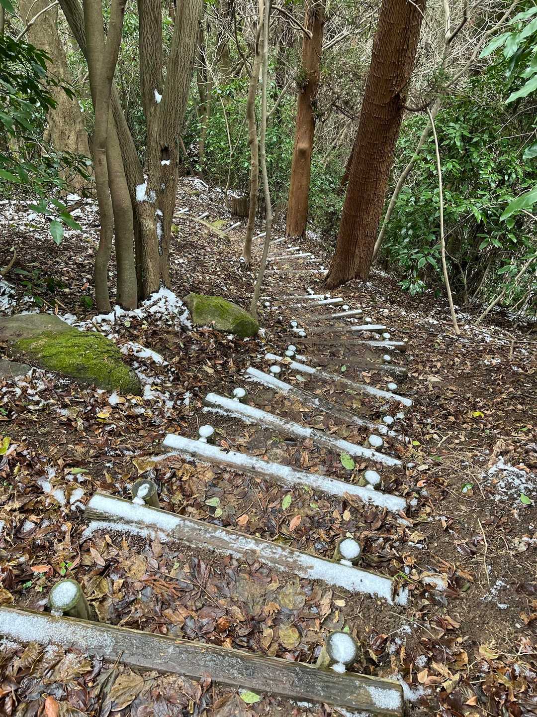 下りは凍ってるところ滑るから怖い😱