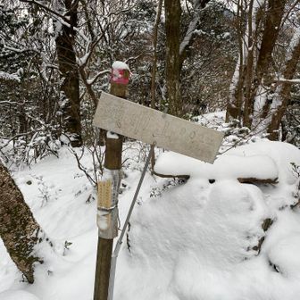 頭巾山、登頂です♪