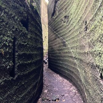 S字回廊✨　観光向きで楽しそうなのに
ここ来る人少ない😅　…そもそも簡単に来れる道じゃないからですね💦