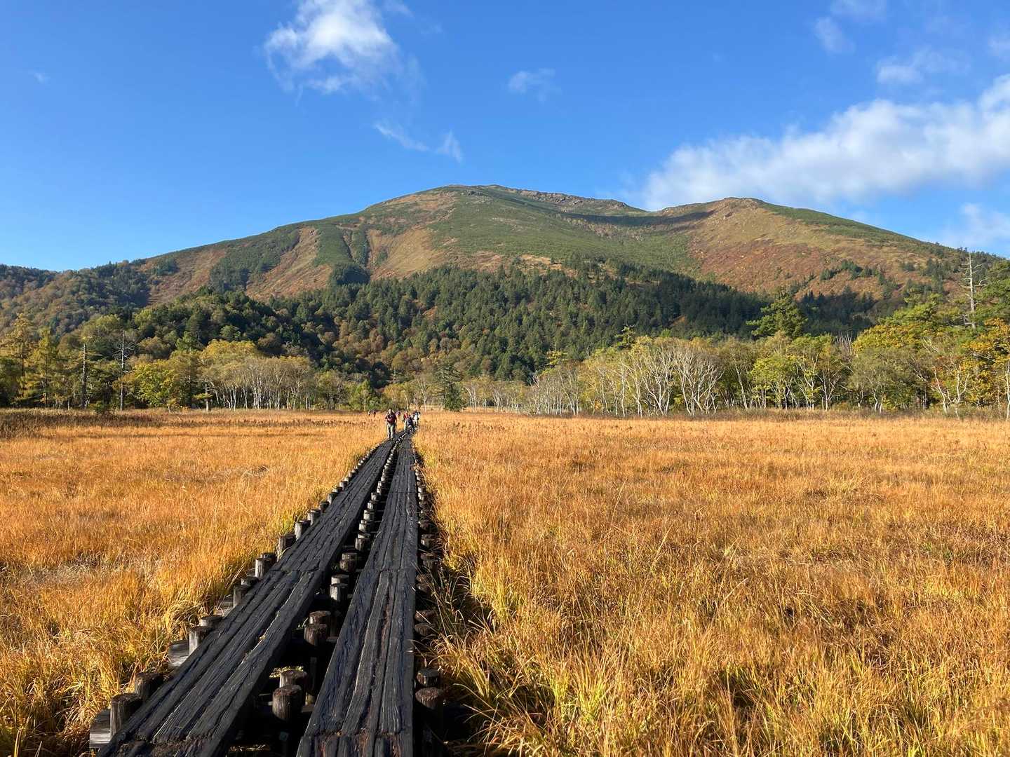 至仏山を目指します。