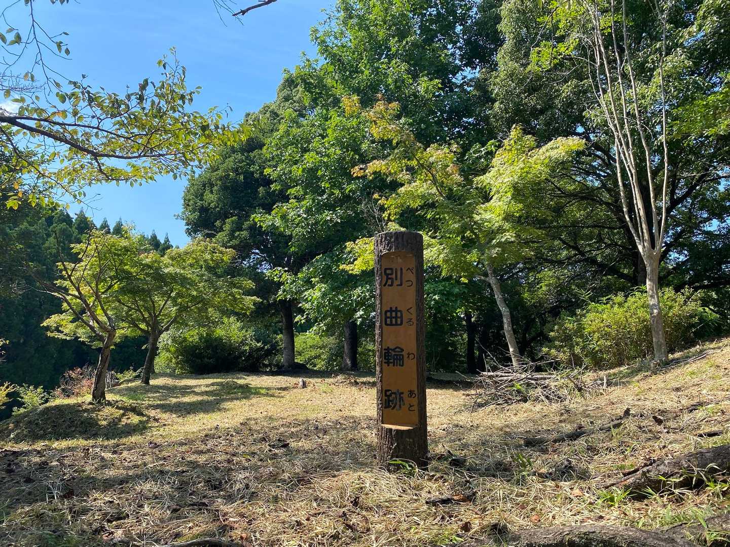 城山-宮山-円通寺-益富山 縦走コースの写真