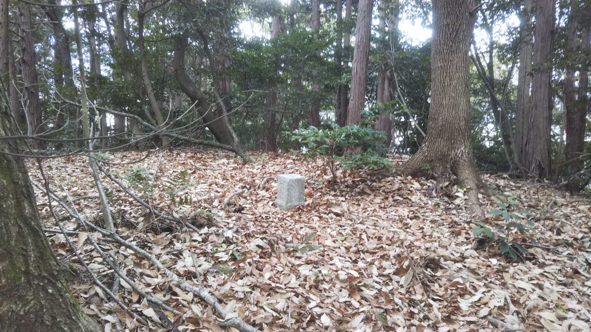 見っけ！