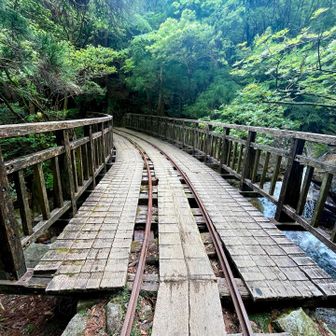 トロッコ道がしばらく続く