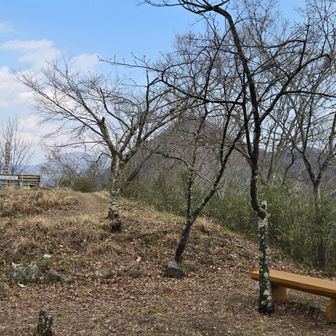 ようやく「むすび山」