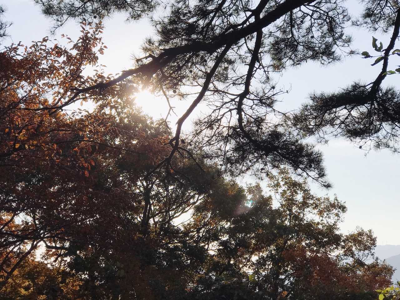 おはよう、太陽。